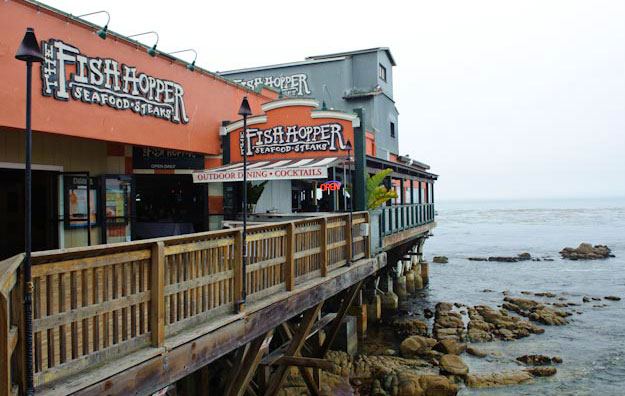 Fish Hopper