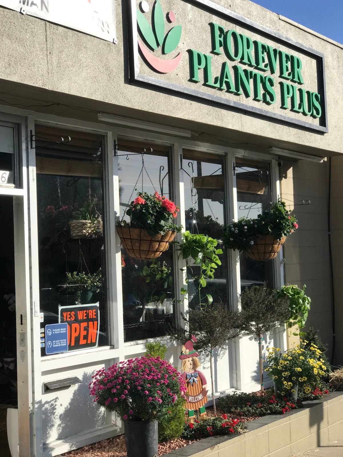ForeverPlantsPlus