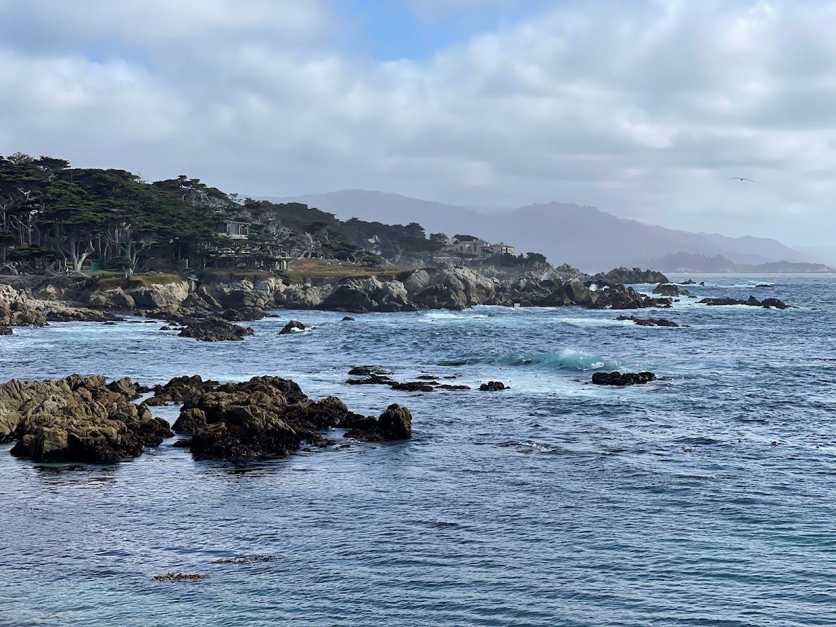 Lone Cypress Point Lookout