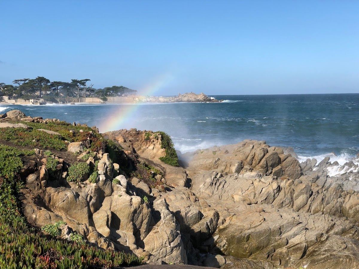 Pacific Grove View Point