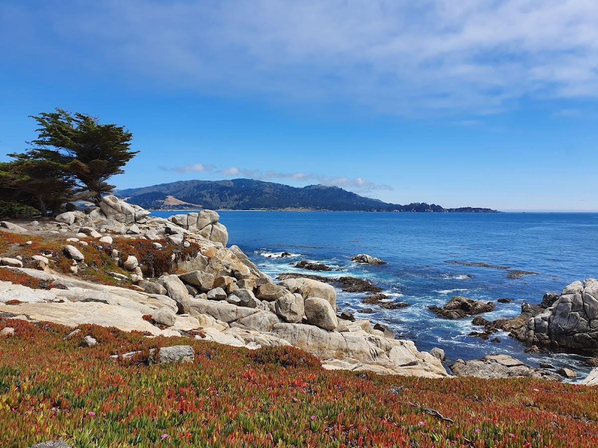 Pescadero Point