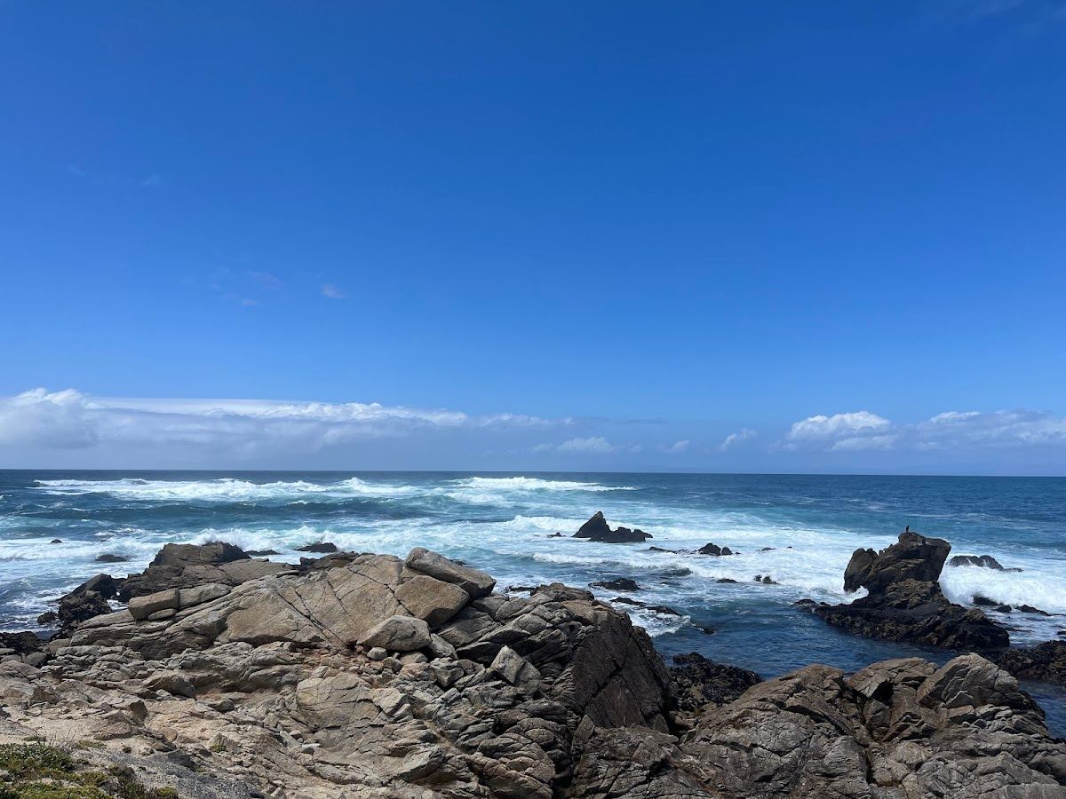 Restless Sea