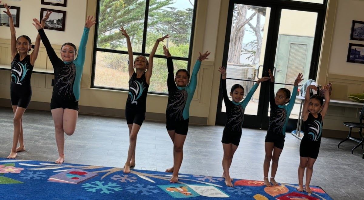 Shea’s Gymnastics LLC