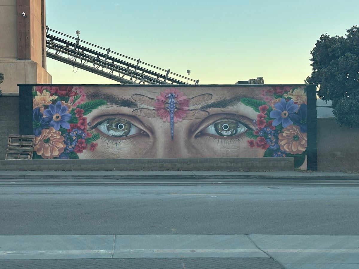 The Floral Eyes Mural