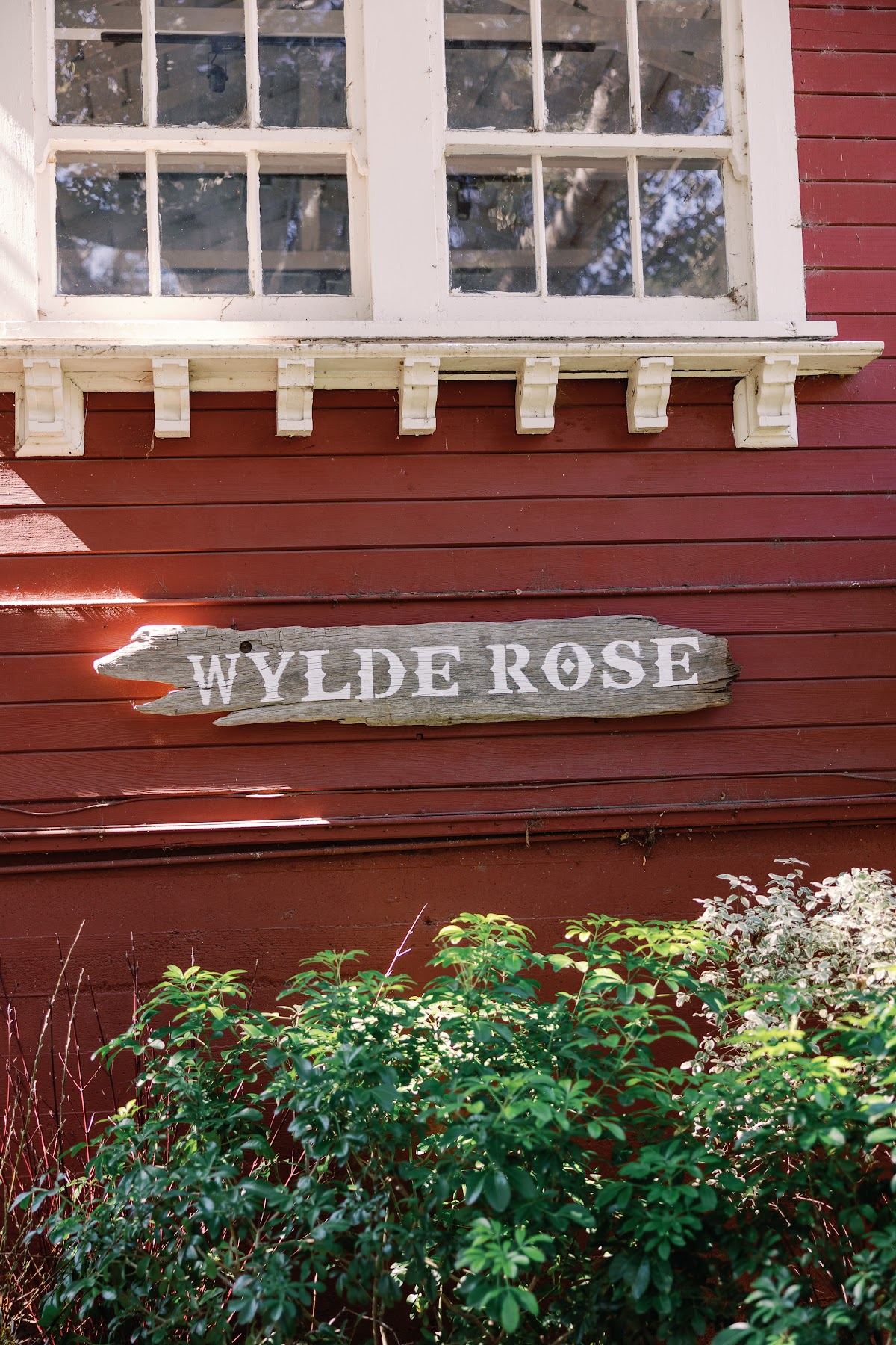The Wylde Rose