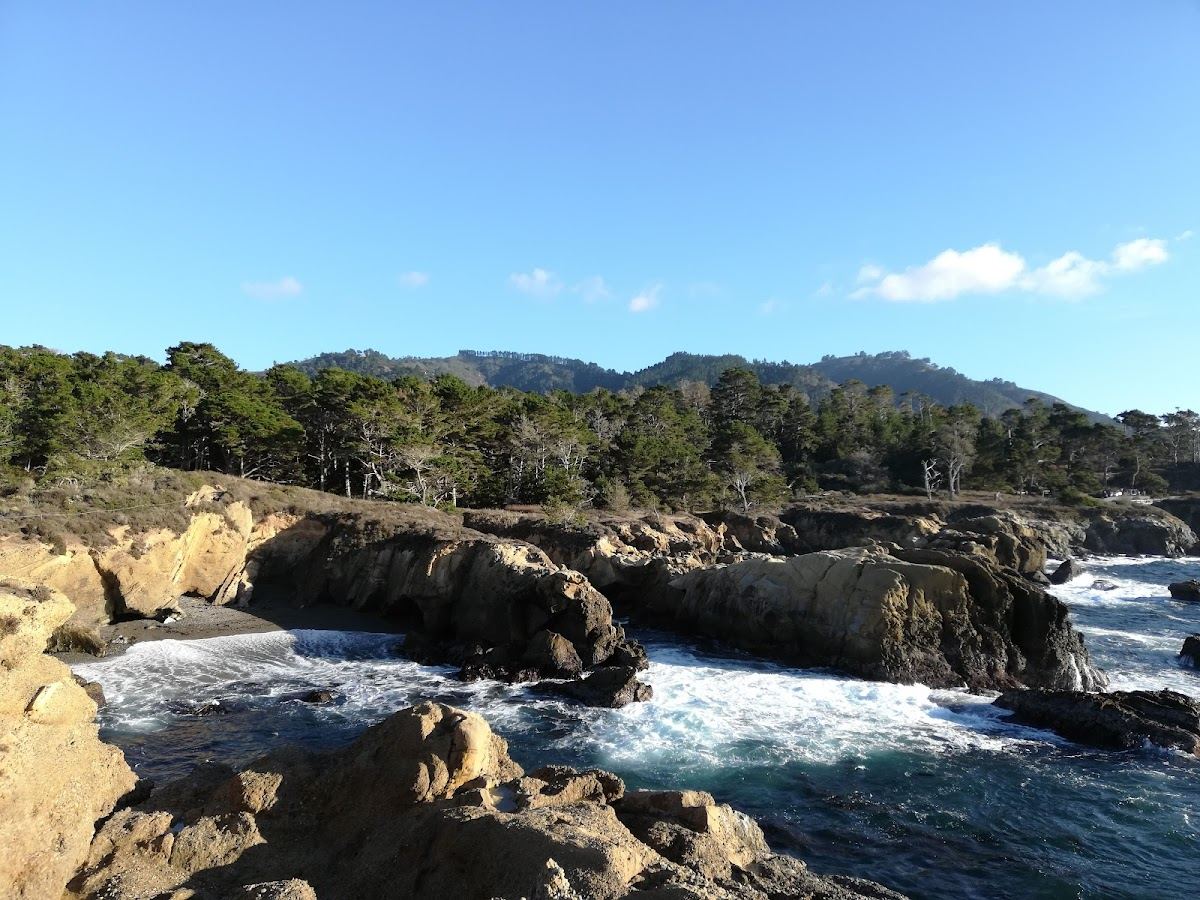 Weston Beach Point Lobos