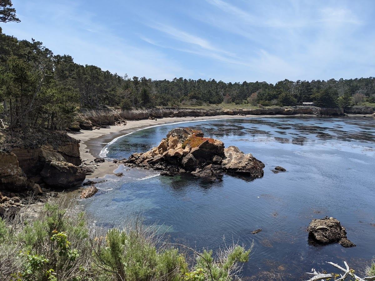Whalers Cove