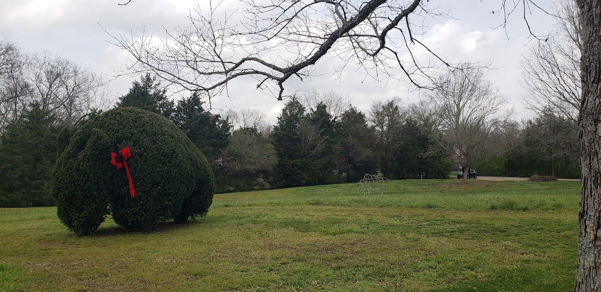 Bison Meadow Park