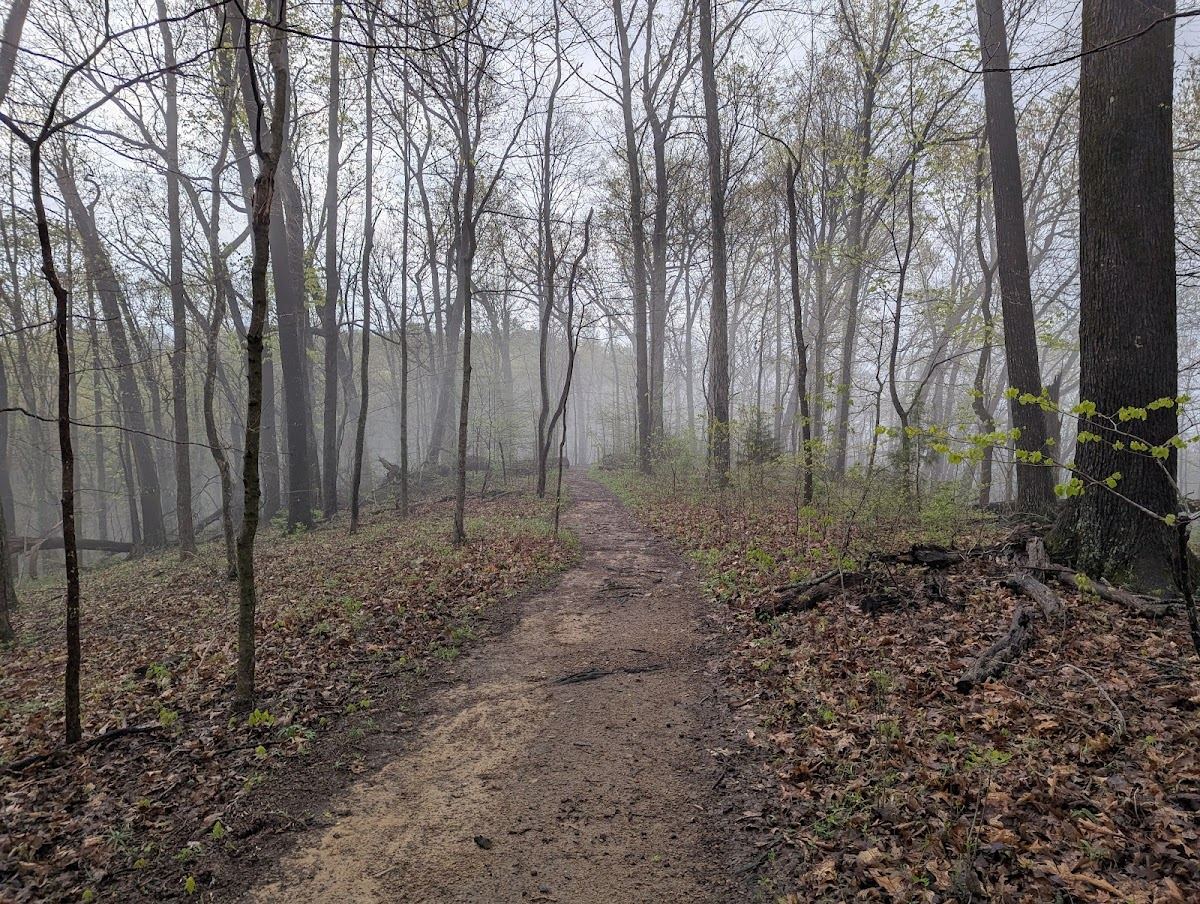 Chickering Trailhead