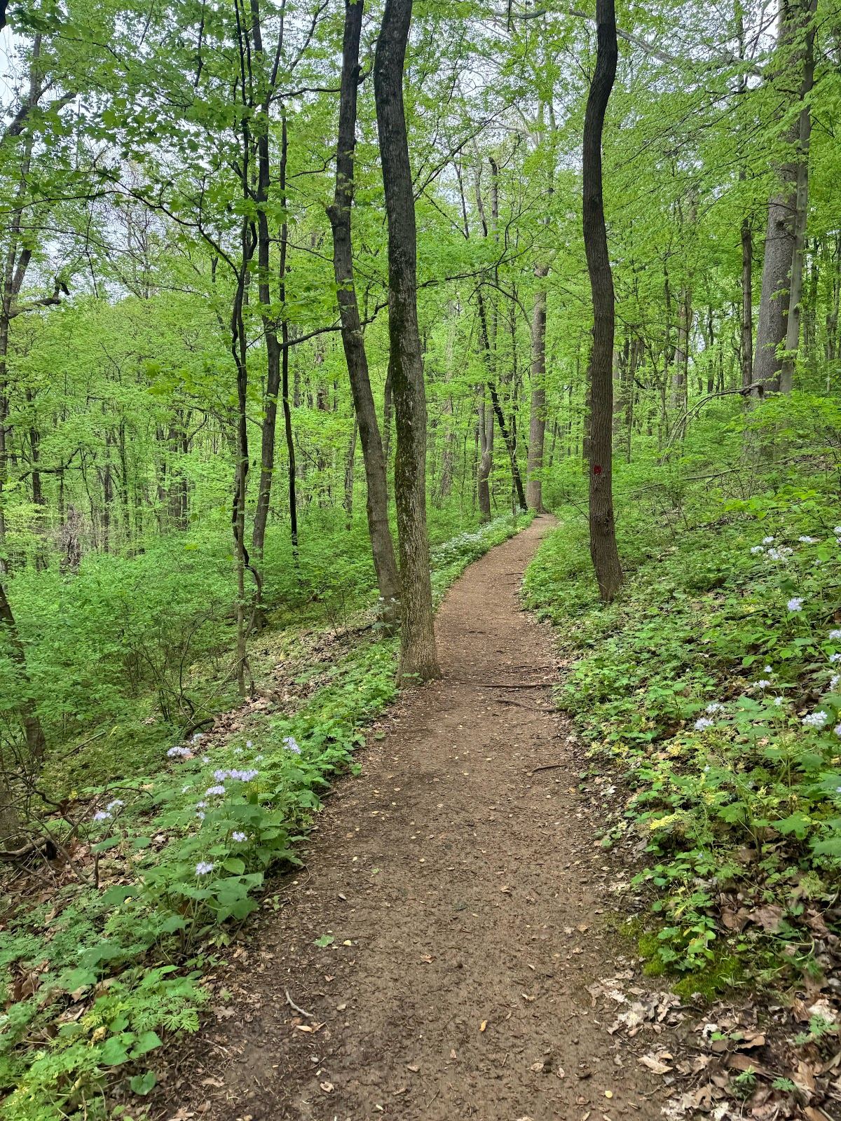 Deep Well Trailhead - Warner Park