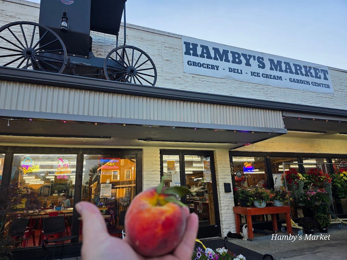 HAMBY'S MARKET LLC