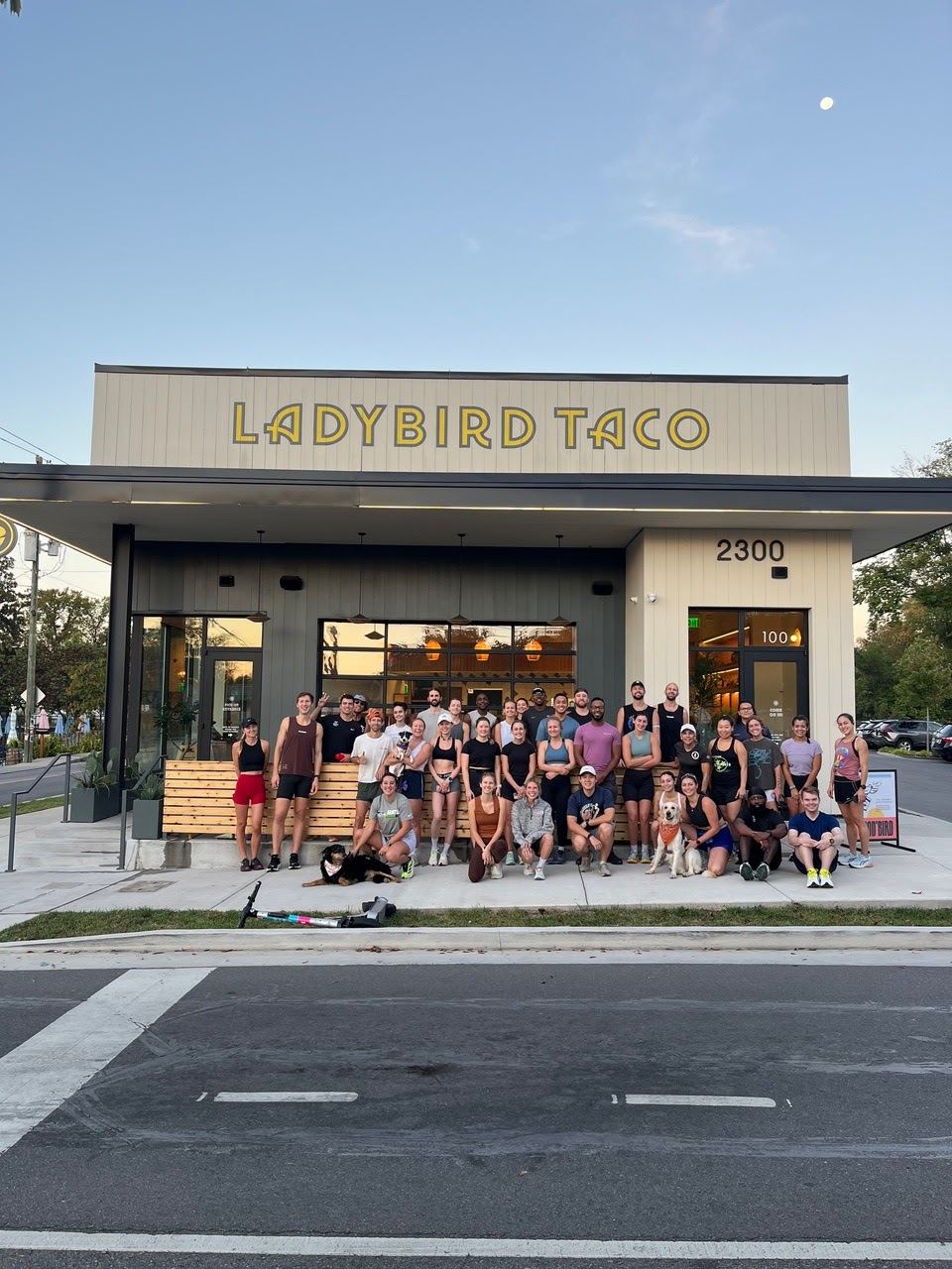 Ladybird Taco