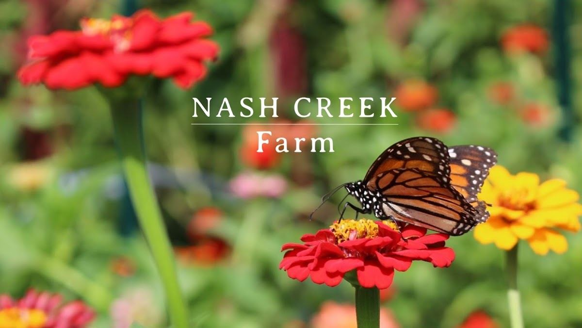 Nash Creek Farm
