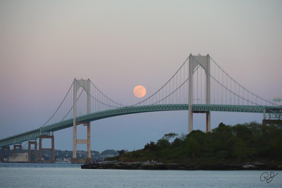 Claiborne Pell/Newport Bridge