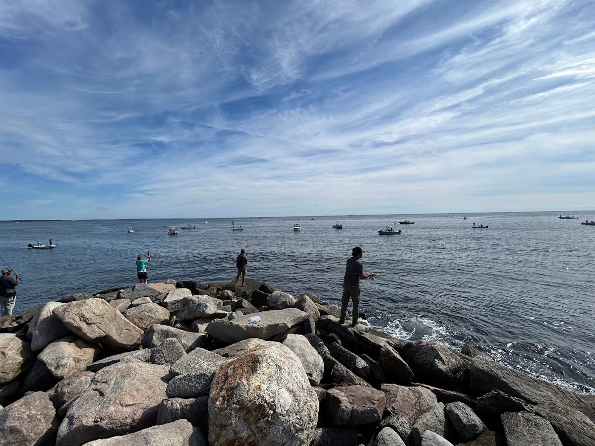 Priyo Narragansett point beach