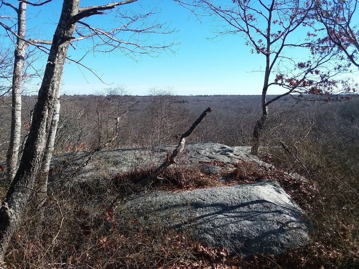 Treaty Rock