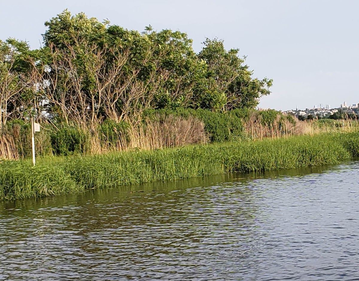 Hackensack Meadowlands Conservation and Wildlife Area