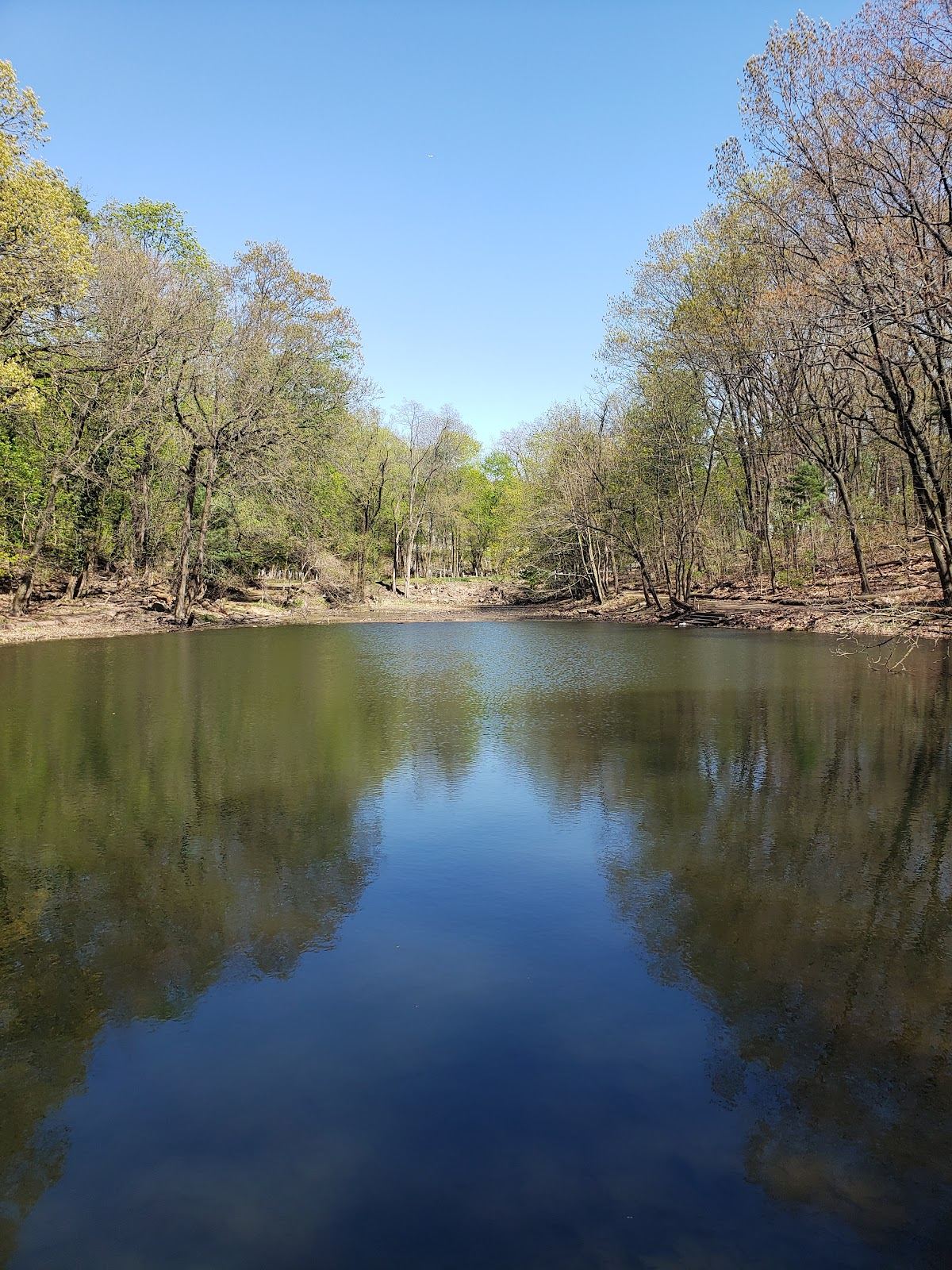 Jones Woods Park