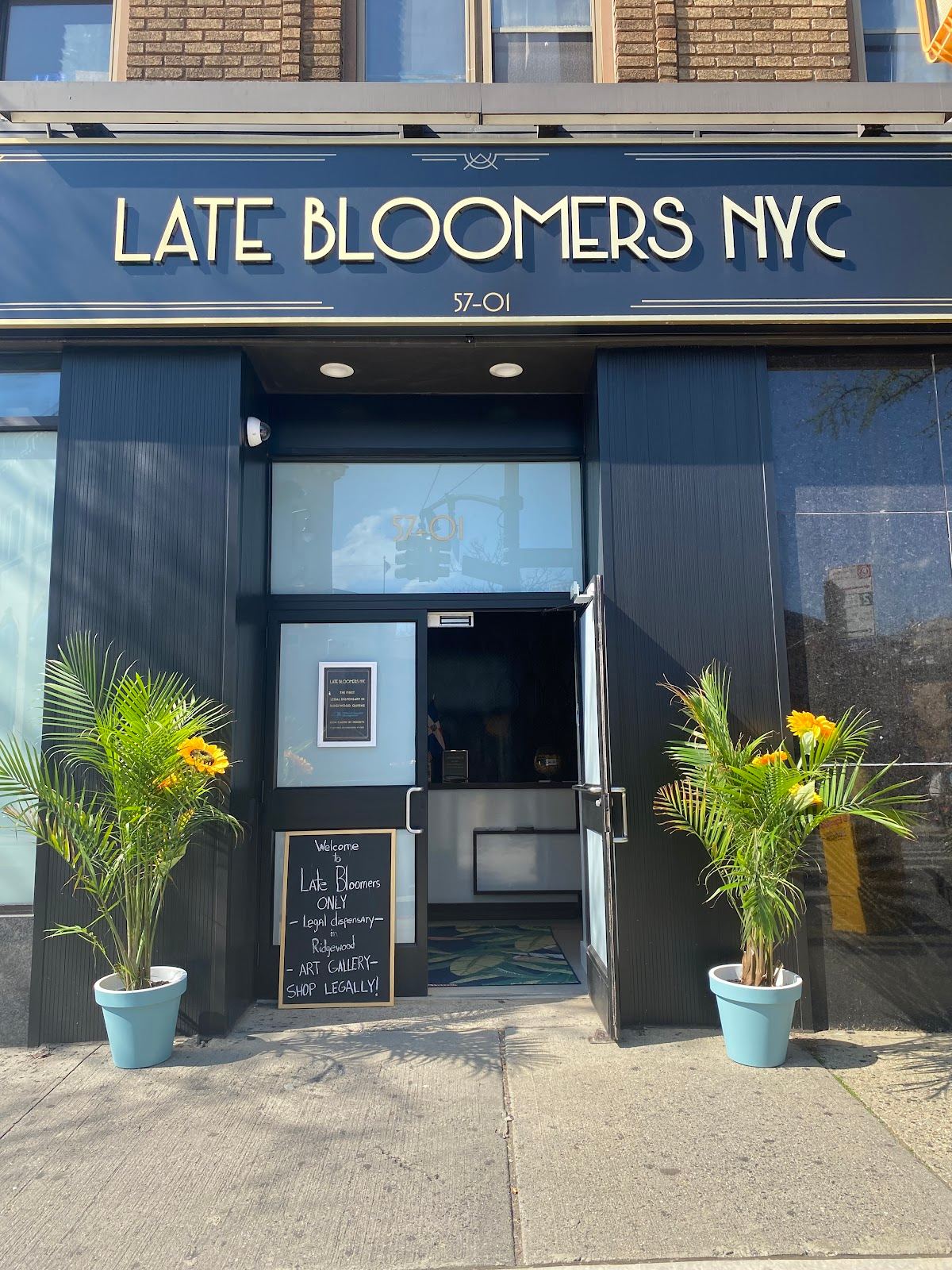Late Bloomers NYC