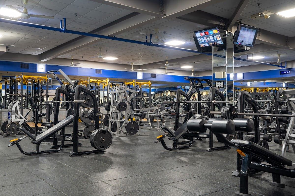 Limitless Fitness