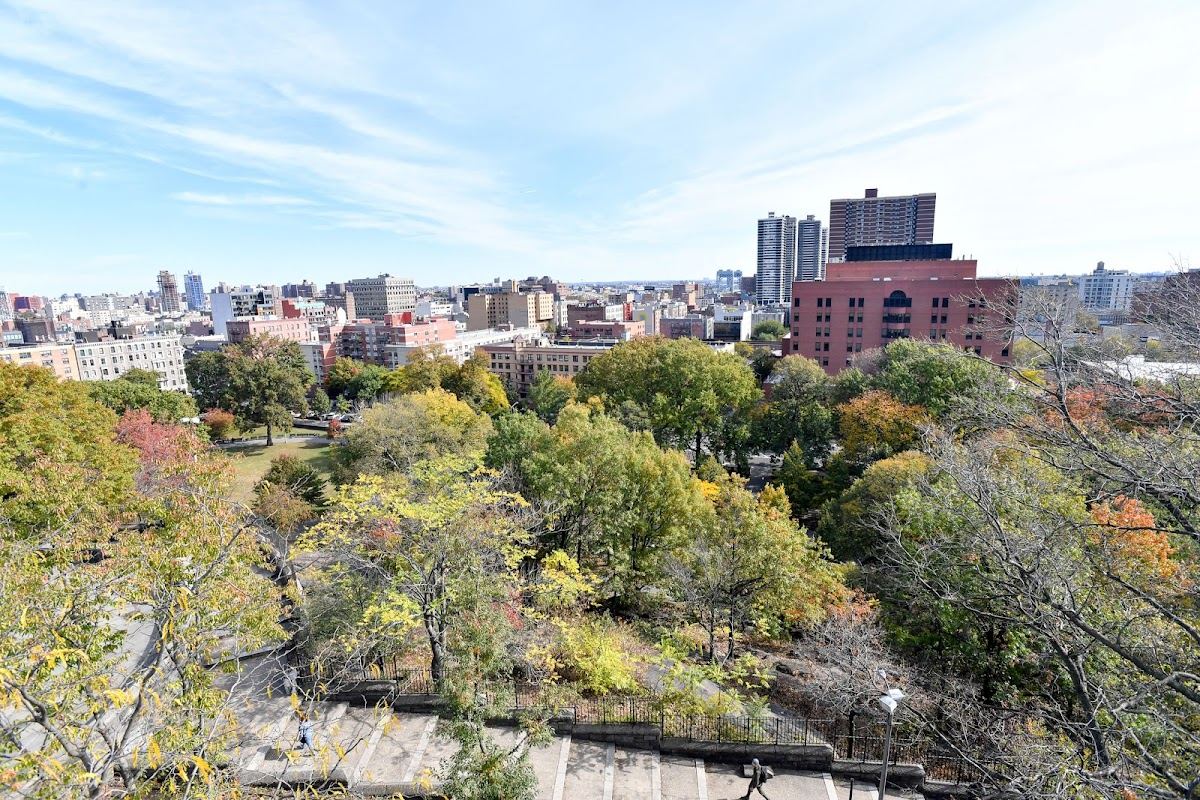 Marcus Garvey Park