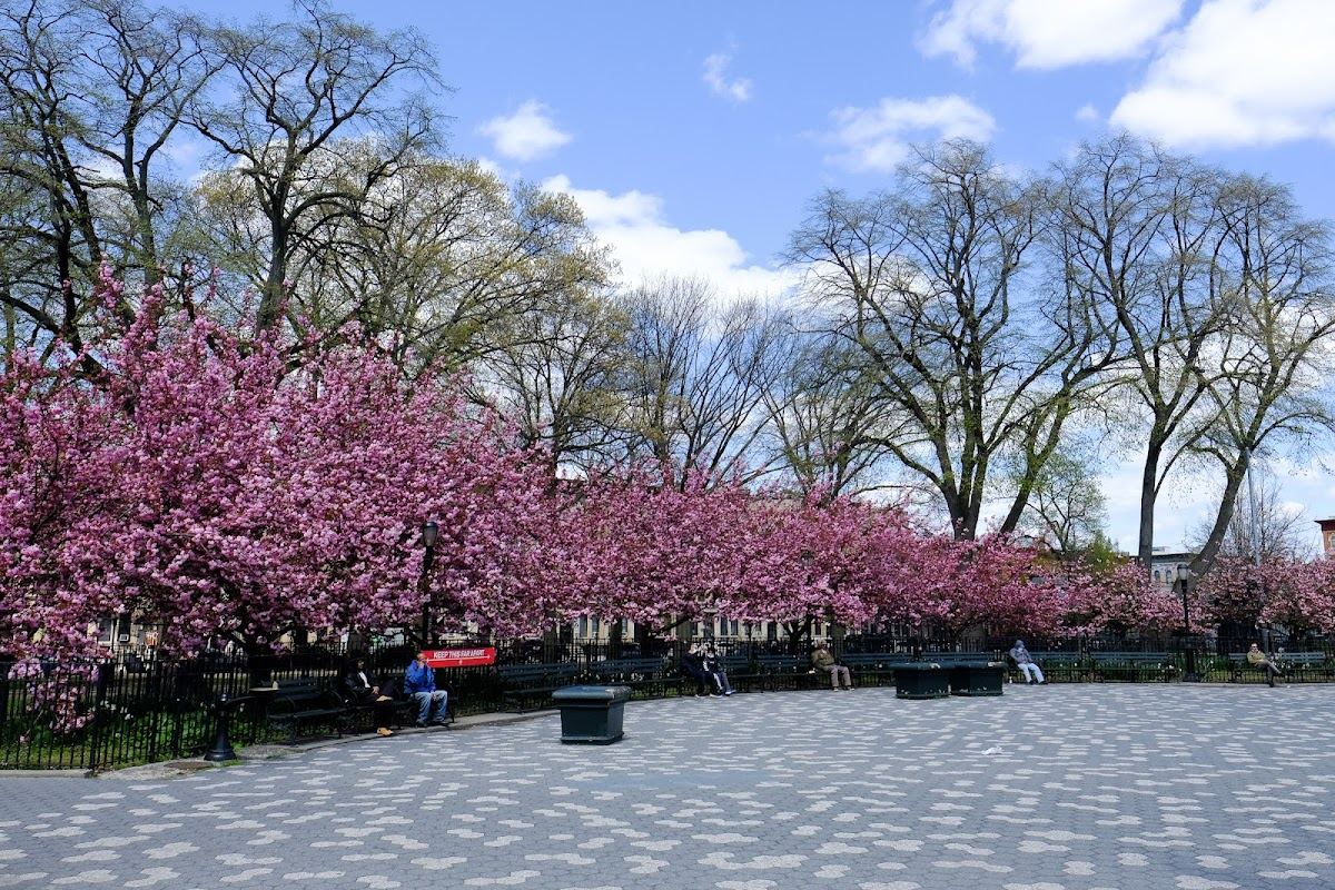 Maria Hernandez Park
