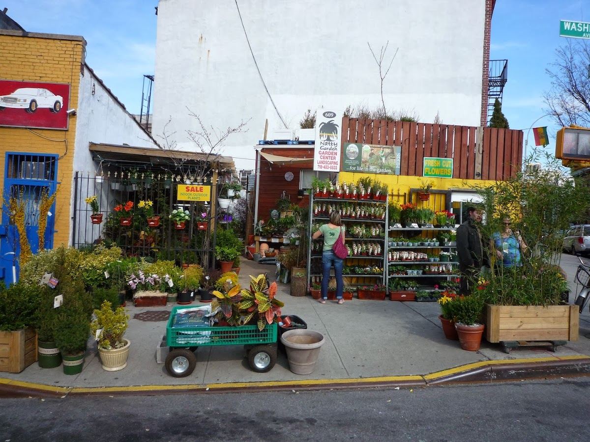 Natty Garden