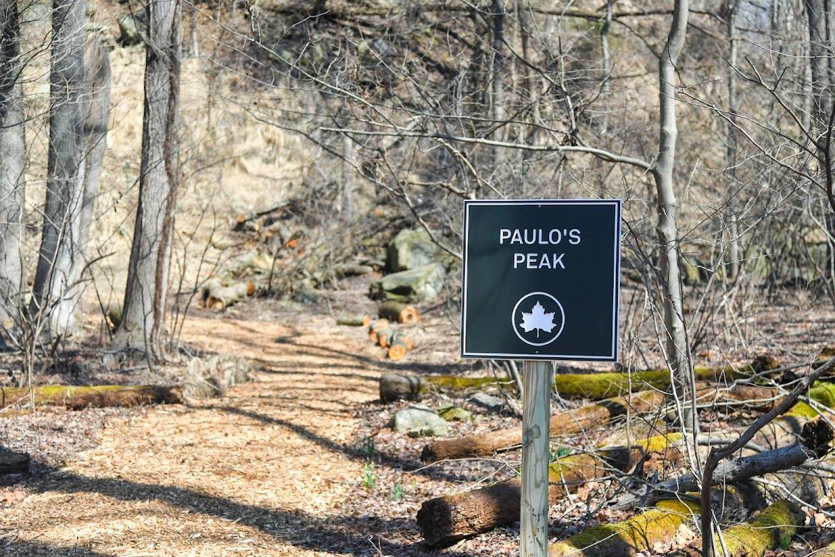 Paulo's Peak