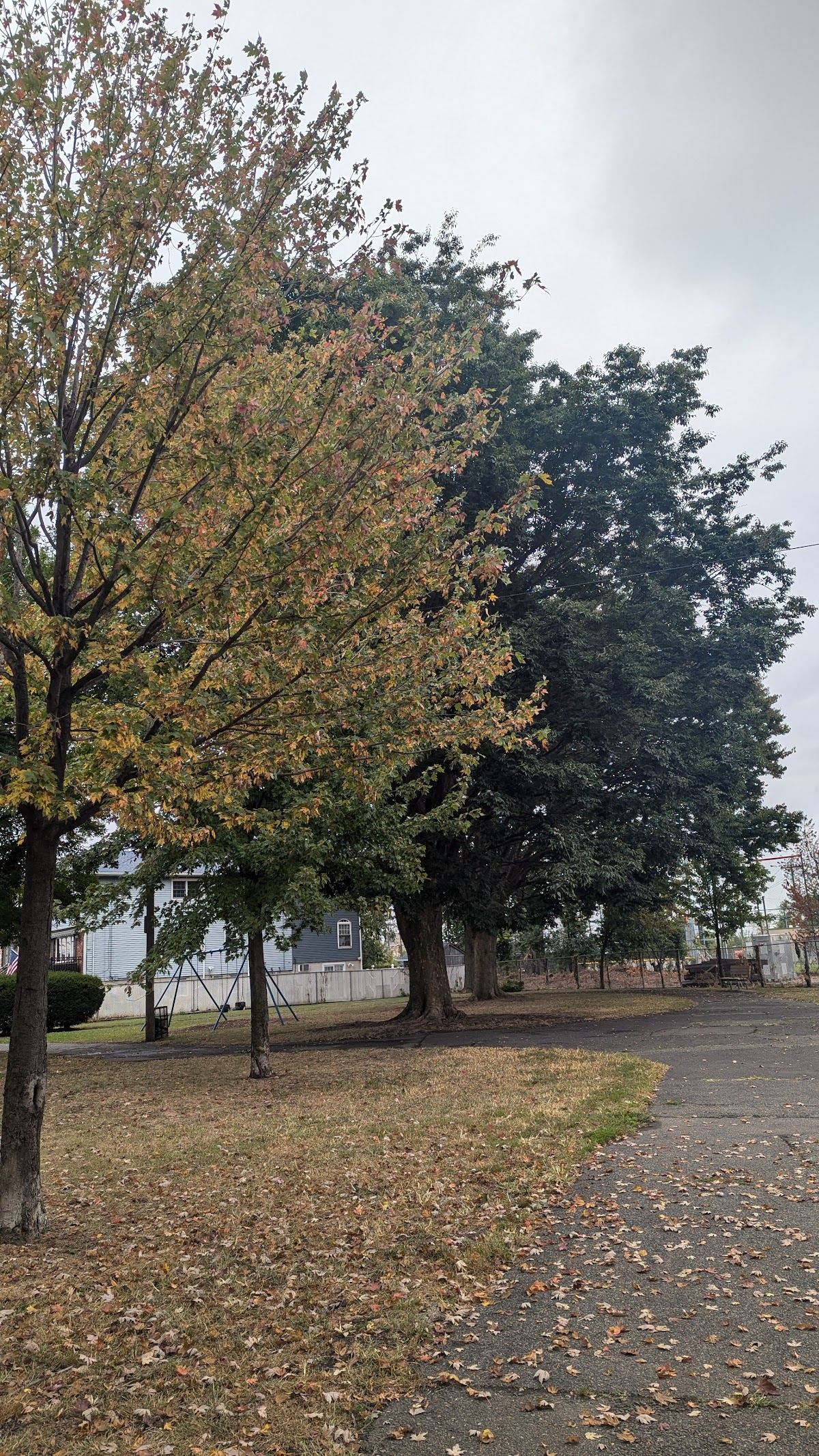 Terry Collins Park