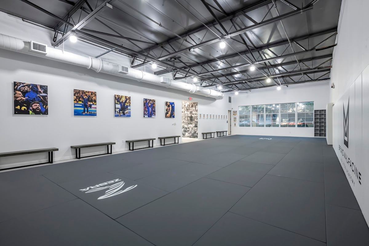 Alliance Jiu Jitsu | Bruno Malfacine