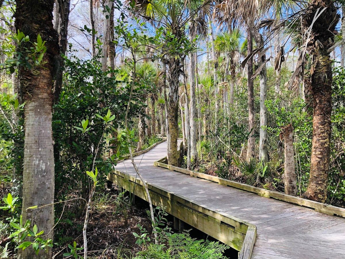 Hog Hammock Trail
