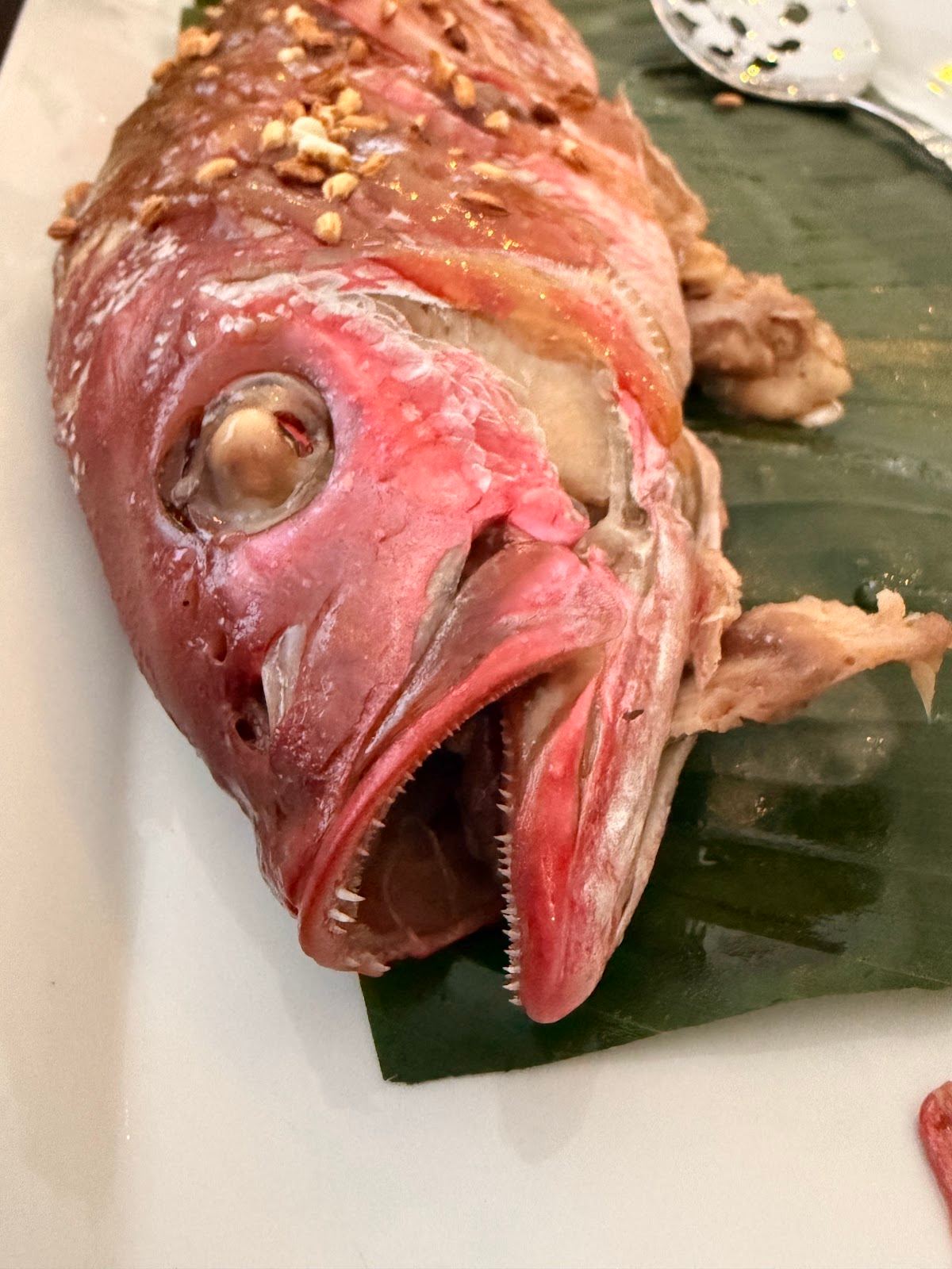 Anthony’s Kitchen