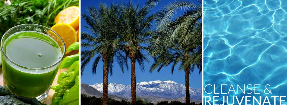 Rejuvenate with Jan Holistic Detox Cleanse Juice Fasting California Retreat