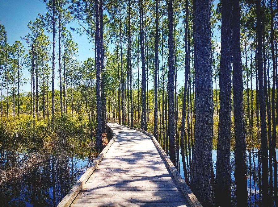 Conservation Park