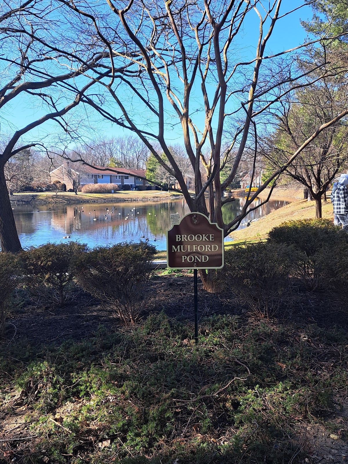Brooke Mulford Pond