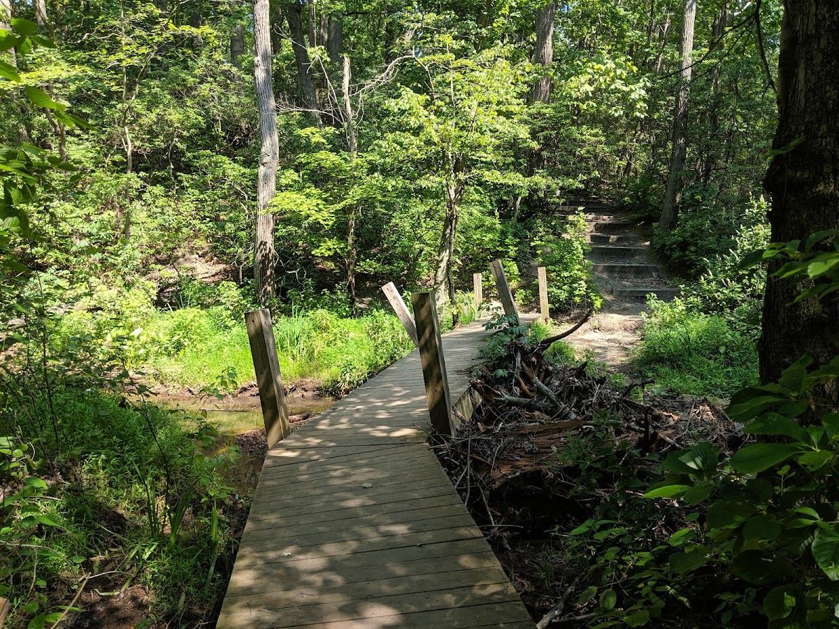 Crows Woods Trails