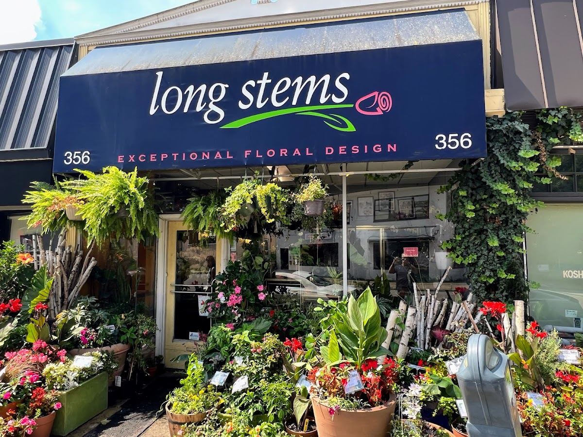 Long Stems