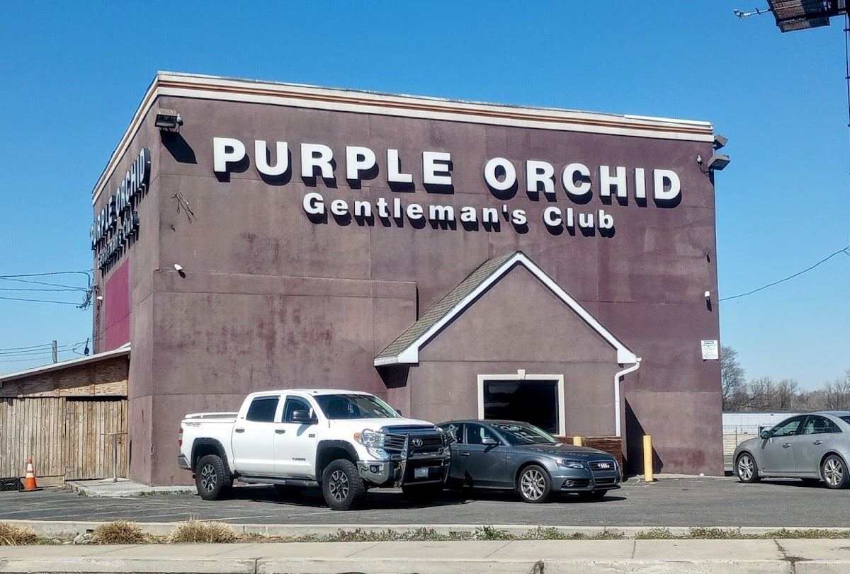 Purple Orchid