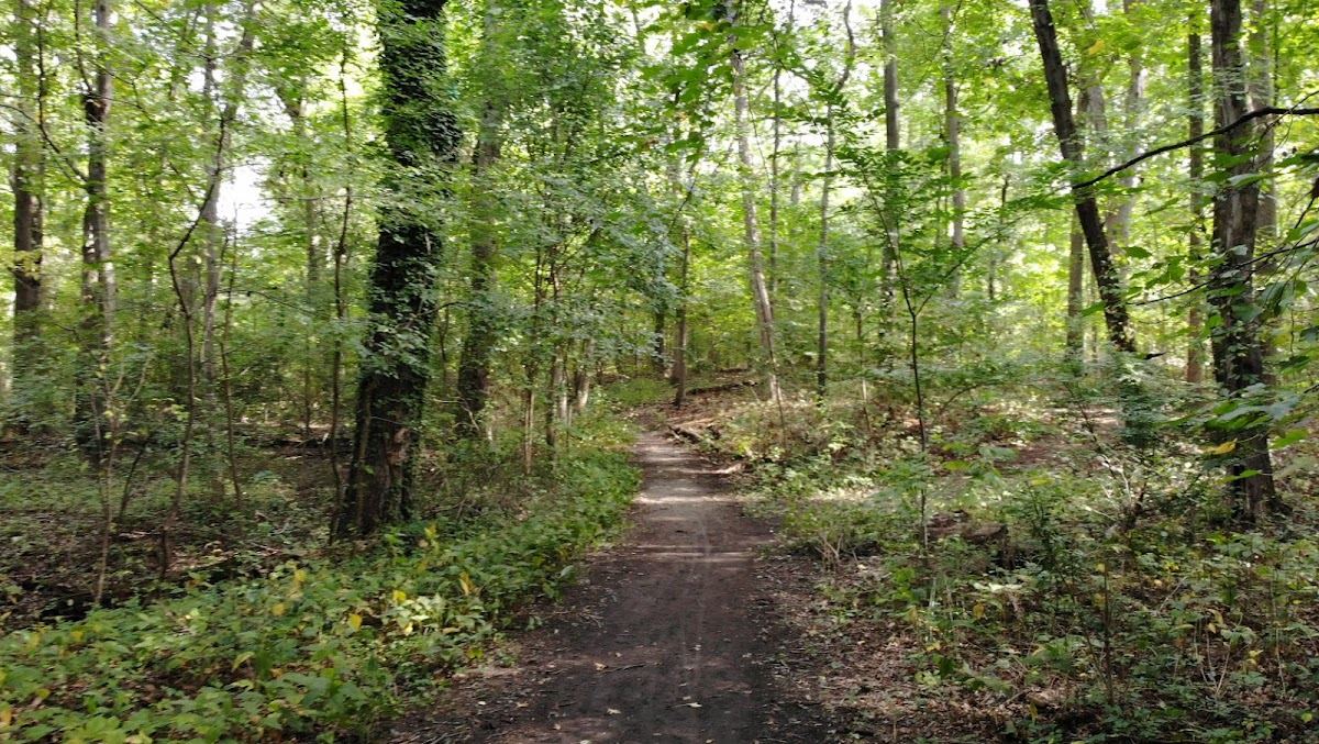 Somerdale Nature Trail Park