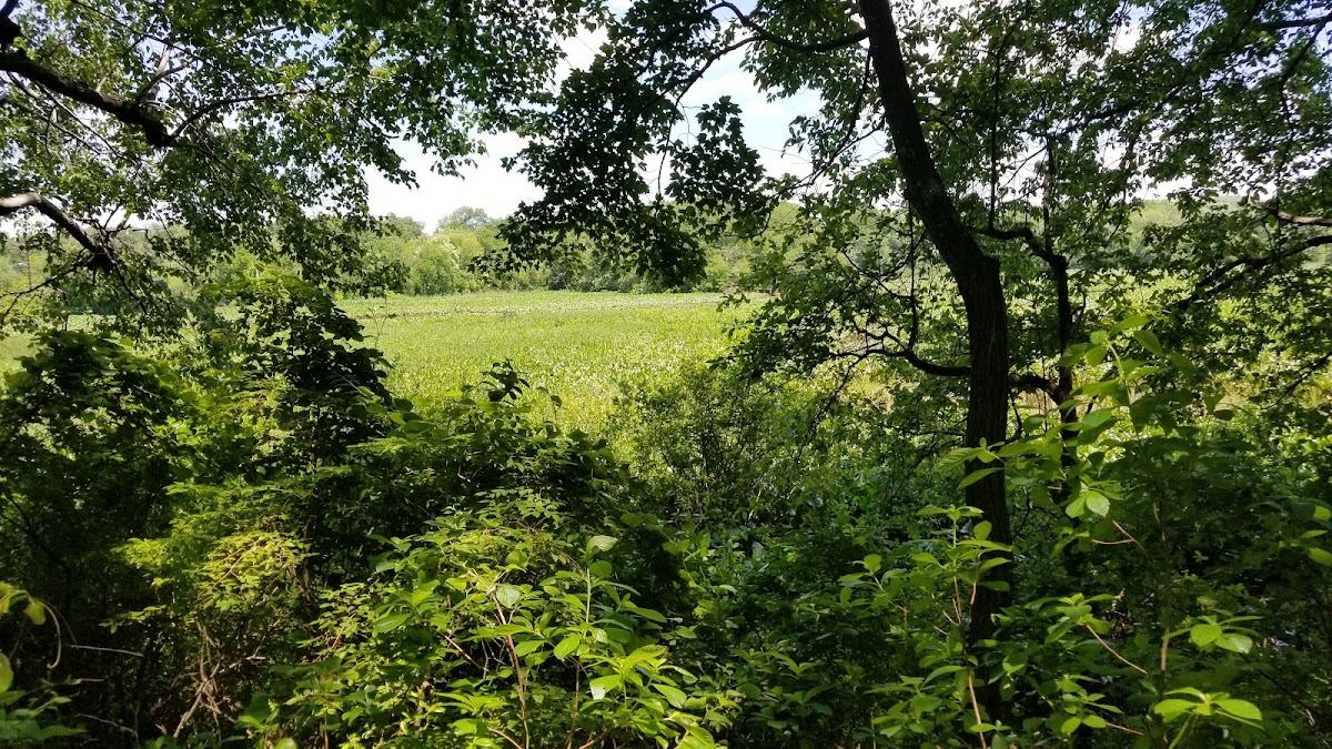 Timber Creek Park
