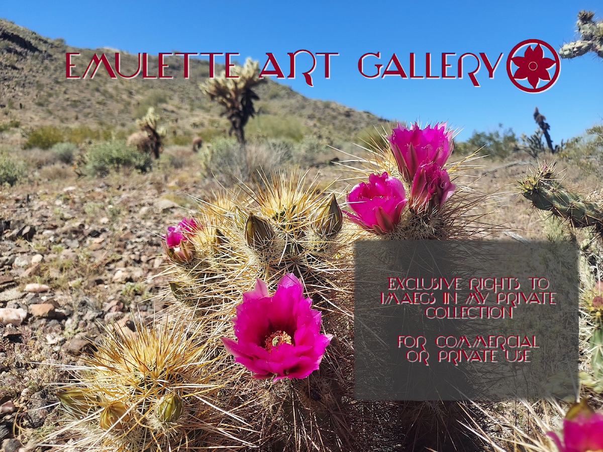 Emulette Art Gallery