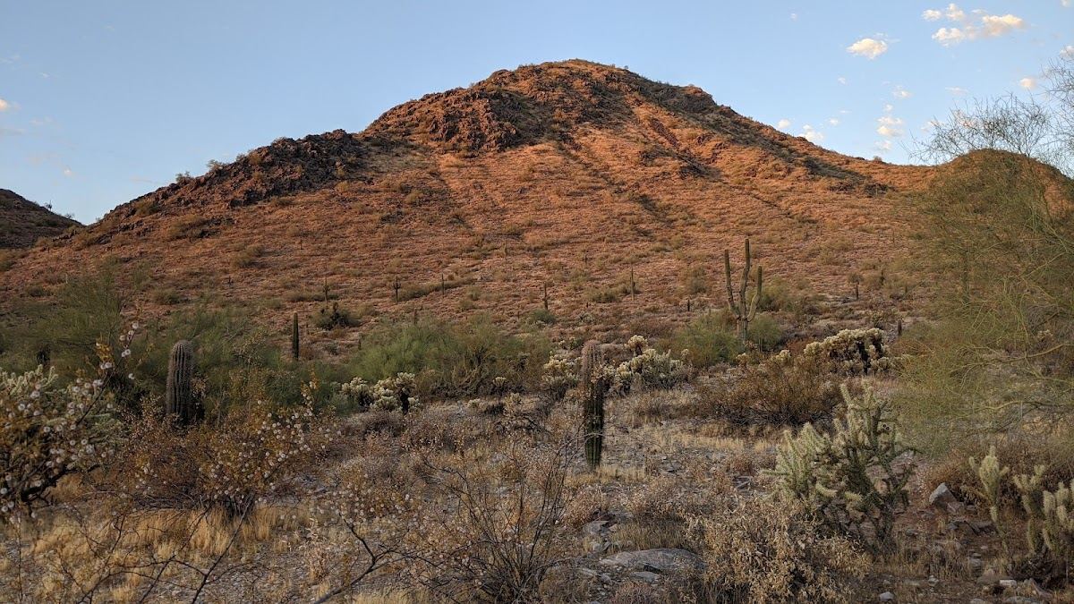 Phoenix Mountains Preserve