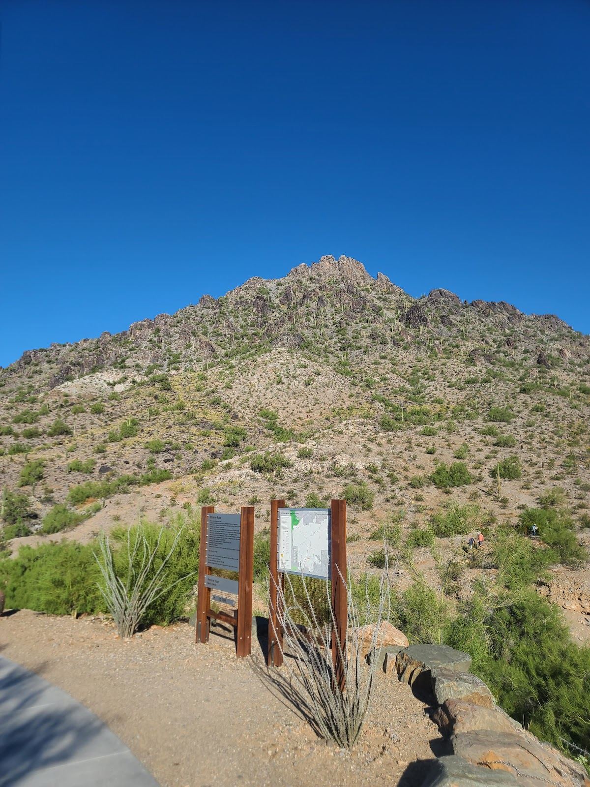 Piestewa Peak Park