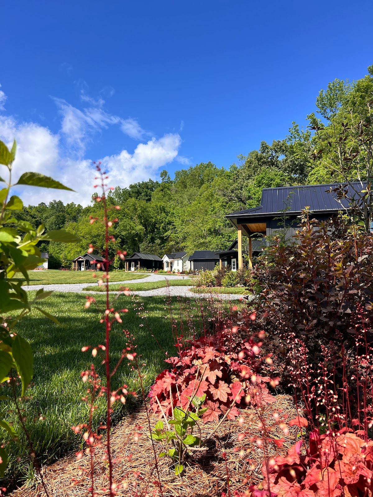 Anson Arbor Farm