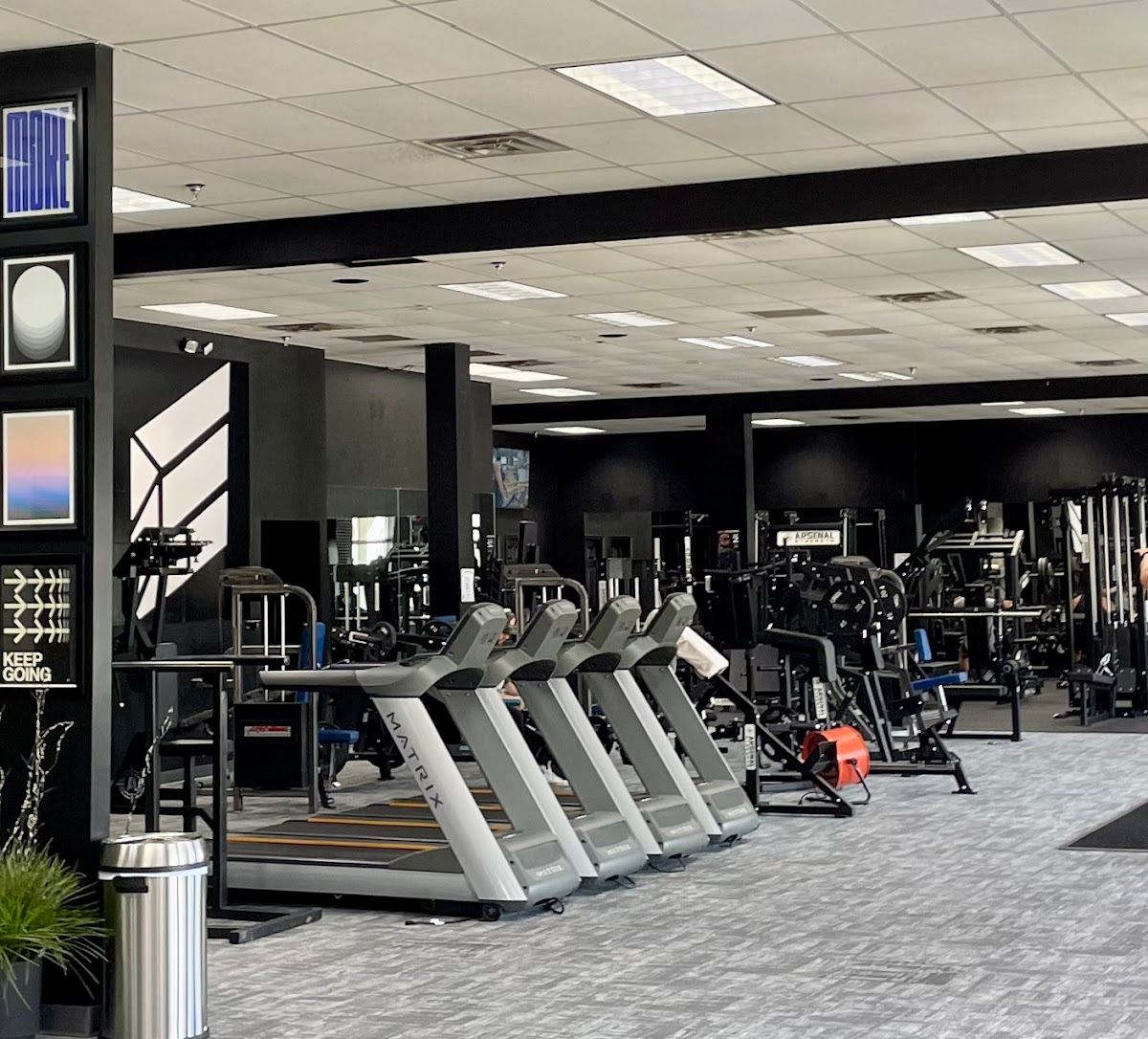 Elite Fit Labz