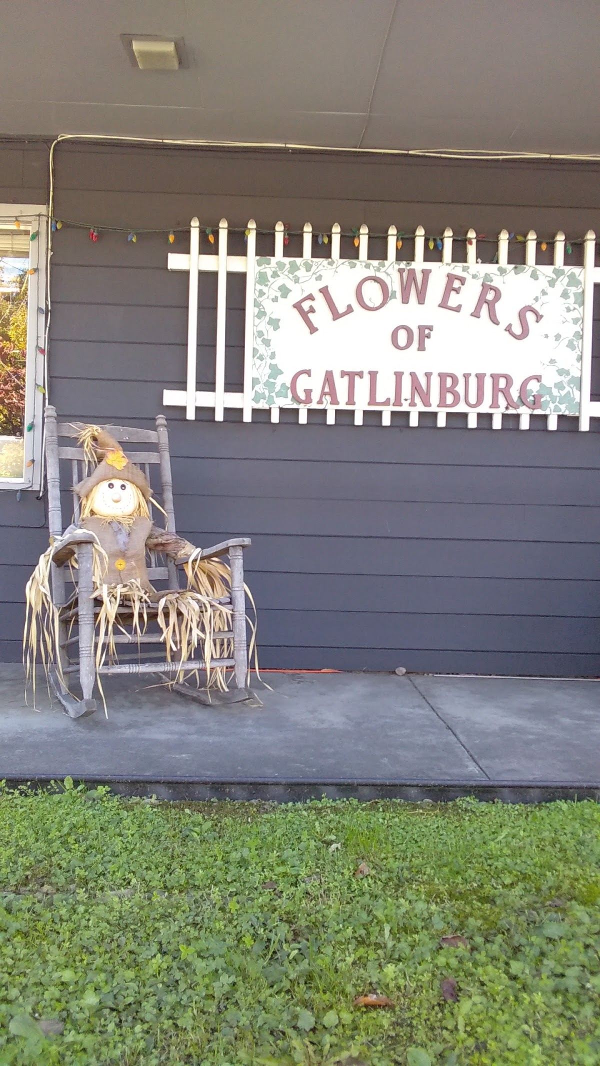 Flowers of Gatlinburg