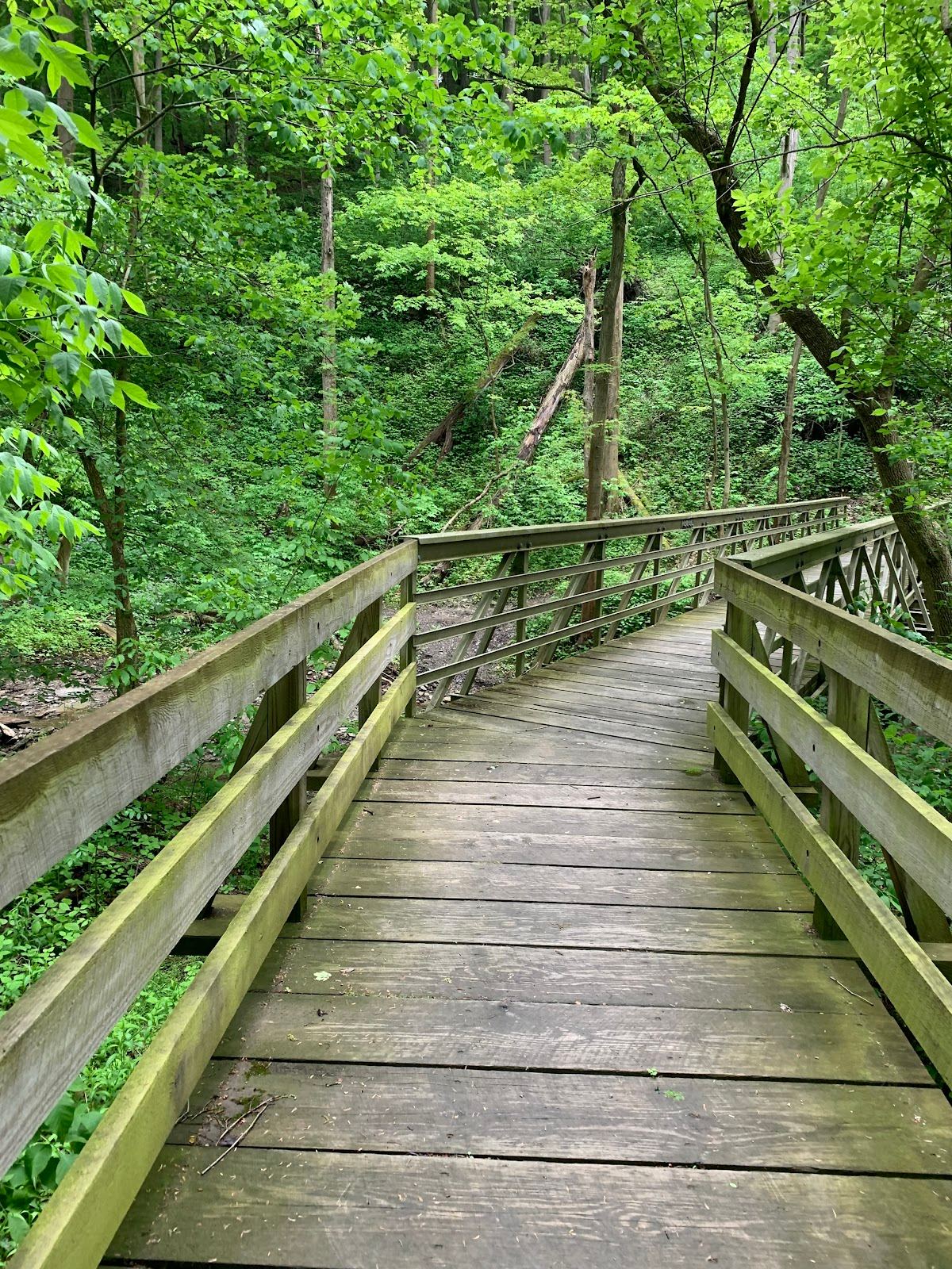 Boyce Mayview Park
