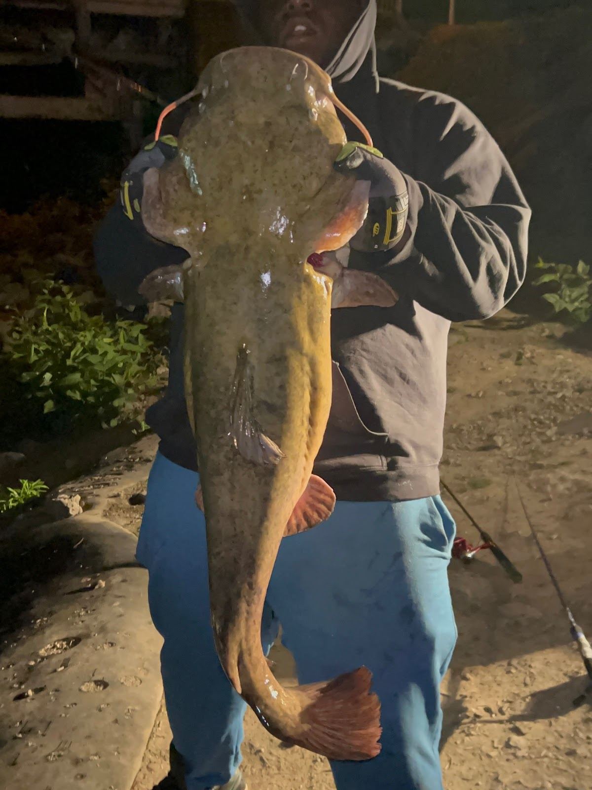 Carson creek fishing spot