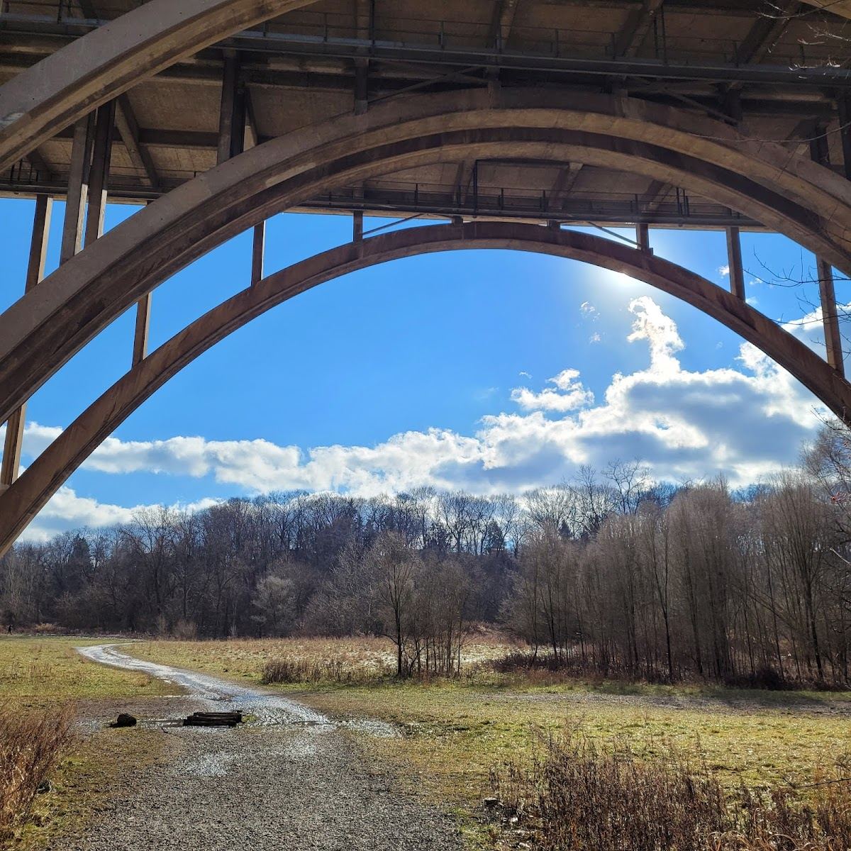 Frick Park - Nine Mile Run Trail