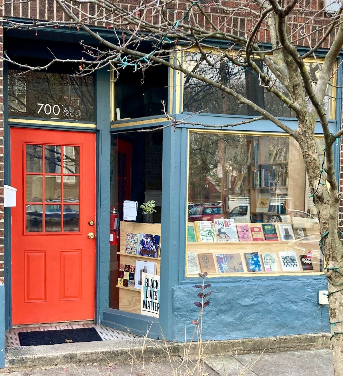 Fungus Books & Records